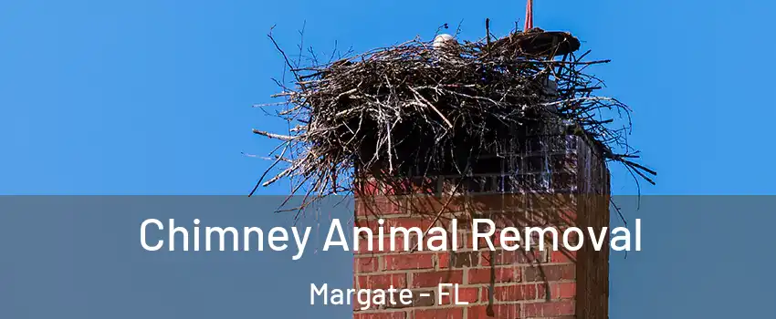Chimney Animal Removal Margate - FL