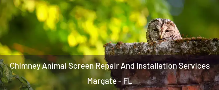  Chimney Animal Screen Repair And Installation Services Margate - FL